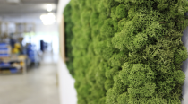 Zelené steny zvyšujú motiváciu zamestnancov