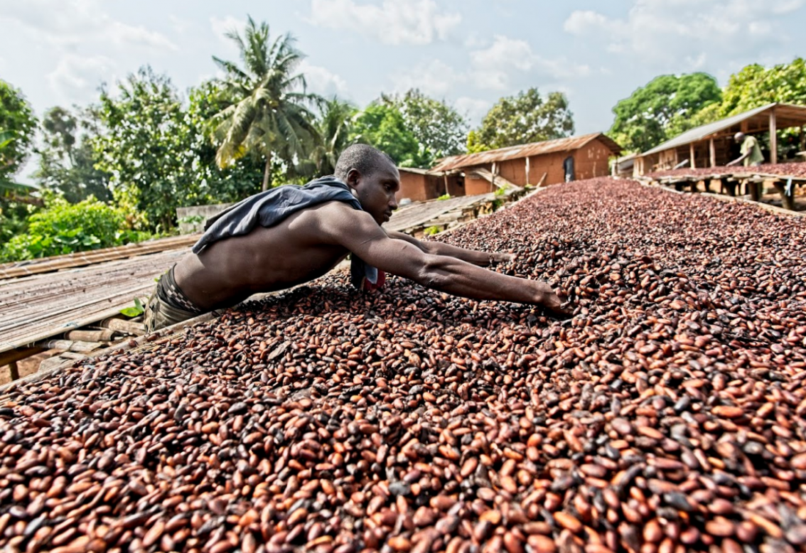 O tovar s certifikáciou Fairtrade je medzi slovenským zákazníkmi rastúci  záujem. Najviac sa predáva kakao a káva, skokanmi roka sú bavlna a cukor. -