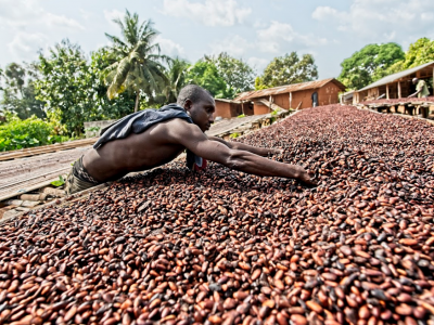 O tovar s certifikáciou Fairtrade je medzi slovenským zákazníkmi rastúci záujem. Najviac sa predáva kakao a káva, skokanmi roka sú bavlna a cukor.
