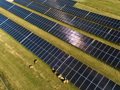 Pivovar Šariš prekonal ďalší míľnik na ceste za výrobou piva zo slnka. Pomohol vybudovať nový solárny park, ktorý je unikátnym príkladom využitia agrovoltiky na Slovensku